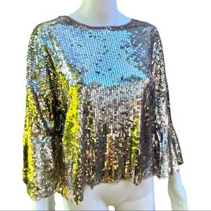 Zara Sparkle.  A silver / grey / taupe shirt for fun nights out.